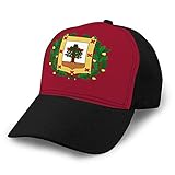 hyg03j4 Sombrero Ajustable Gorra de béisbol con Fondo Plano Bandera de Bizkaia en el País Vasco en España Gorra de béisbol de algodón