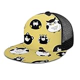 Gorra de béisbol con diseño de búho enfadado y Oso de Gato, Unisex, con Visera Plana, para Hip Hop, Sombreros y Sombreros, Color Negro