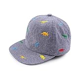 Pesaat Gorra de béisbol para bebé, con protección UV (Dinosaurio Bordado, 2 a 4 años)